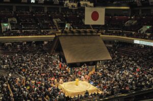 新三役・藤ノ川が魅せる真っ向勝負！大相撲秋場所での躍進と八角理事長も唸る稽古の成果